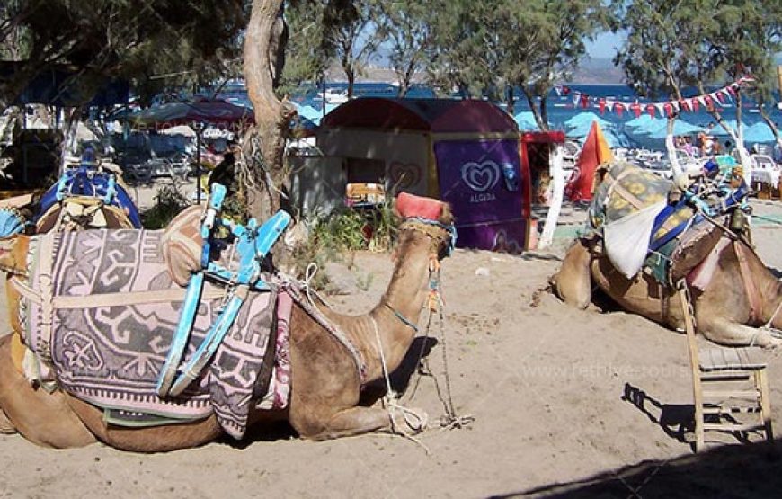 FETHIYE CAMEL RIDING