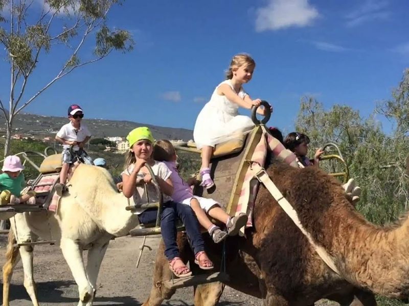 FETHIYE CAMEL RIDING