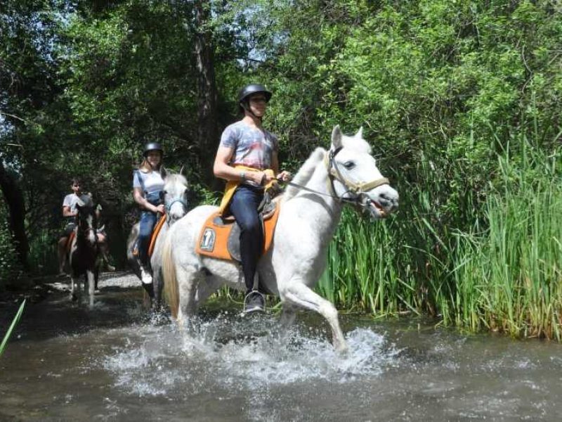 FETHIYE HORSE BACK RIDING