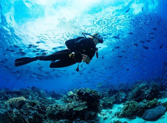 scuba tour