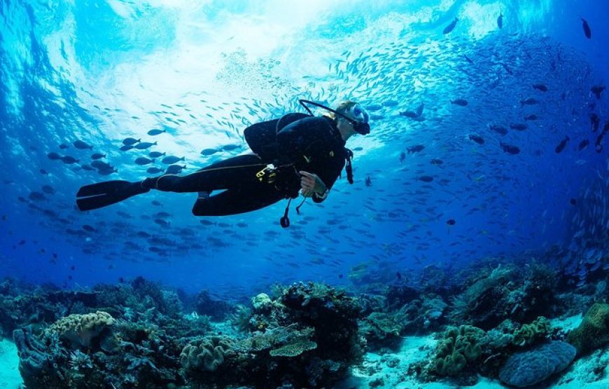 SCUBA DIVING FETHIYE