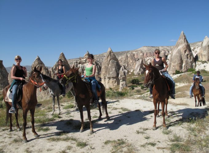 horse tour
