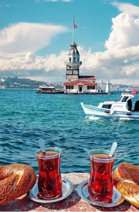 Travel Turkey famous places with Alamgir