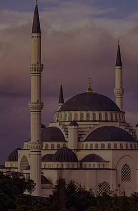 Travel Turkey famous places with Alamgir