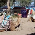 Fethiye Camel Riding at Gosht Town