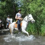 Fethiye Horse Back Riding