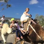 Fethiye Camel Riding at Gosht Town
