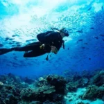 Scuba Diving Fethiye