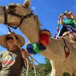 Fethiye Camel Riding at Gosht Town