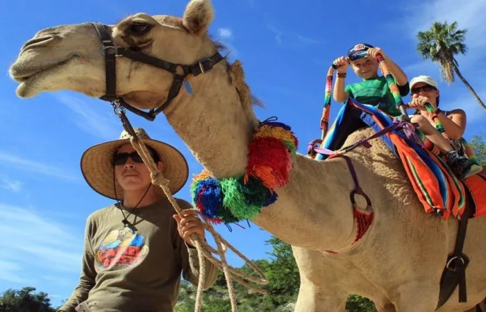 Fethiye Camel Riding at Gosht Town