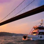 Bosphorus Cruise Dinner VIP