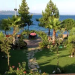Daily Sapanca & Masukiye Tour