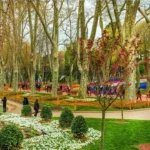 Daily Istanbul City Economical Tour