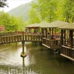 Daily Sapanca & Mashokiya Golden Tour