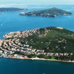 Daily Princes Island Economical Tour