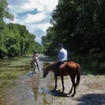 Fethiye Horse Back Riding