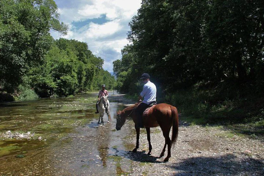 Fethiye Horse Back Riding