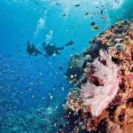 Scuba Diving Fethiye