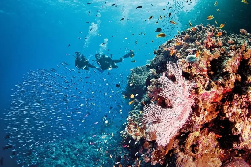 Scuba Diving Fethiye